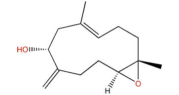 Sinuhirtin A